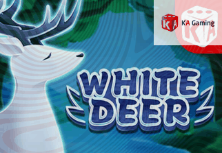 White Deer